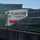 플러스에젤 이미지