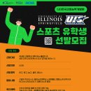 용인대태권도아카데미 이미지