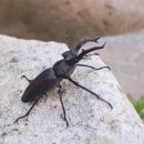 정선다온펜션 이미지