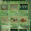 시산초등학교 이미지