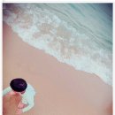 봉포 산들바람 이미지