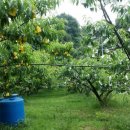 선아 농장 이미지