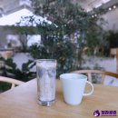 강원도 여행 속초 1박2일 코스 완전정복! (맛집, 숙소, 카페 정보~)