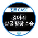 강동24시 SKY 동물의료센터 이미지