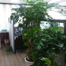 청구당구장 이미지