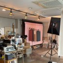 하쿠나마타타헤어 이미지