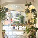 악토플랜트