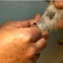 일산동물약국 이미지