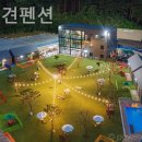 별빛애견 이미지