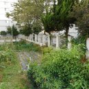 서구-02-54 이미지