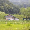 원창조경