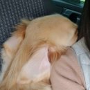 제토산업 이미지