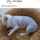 피커스 종로<b>피커스</b>클라이밍 오픈런 혼클🔥 하우마라탕 종로, 청계천, 조계사 노동절 꿀휴무Day💚