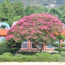 강진신전초등학교 이미지