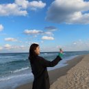 현대목장 이미지