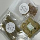 포드그루와 이미지