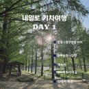 송정메타세콰이어길 | 30대 내일로 1일차 담양 죽녹원 메타세콰이어길 스테이휘경 체크인