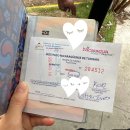 오메야 | 엘살바도르에서 니카라과 국경 넘기 TICA 버스 후기 + 리바스에서 오메테페섬 가는 방법