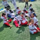 대호체육도장 이미지