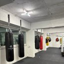 이재일복싱 이미지