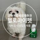 멍뭉펫 | 다이소 신제품 강아지 발세정제 헬로마이펫 멍뭉발세정제 솔직 후기