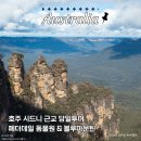 놀러와 - 청주시 흥덕구 진재로 22 | [세계일주 D+16] 페더데일 동물원 블루마운틴 투어 놀러와 시드니 후기