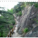 사랑의연리근 이미지