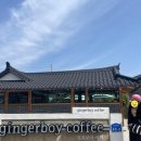 아디다스 가젤볼드 와일드핑크 ID6997 (사이즈팁)