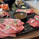 육본한우 | 한경국립대 인근 안성고기 육본