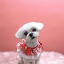 아임그루머 이미지