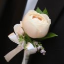 장미하우스 | [부케] 부산 부케 - "별꽃아카데미하우스" 신랑 부토니아 후기 (코랄핑크장미)