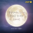 뮤엠영어차수학학원 - 화성시 수노을중앙로 146 | 뮤엠영어차수학학원