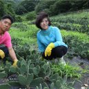 로하스개발(주) 이미지