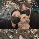 루봄
