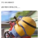 드코 이미지