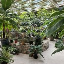 식물원옆카페 이미지