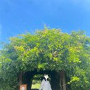 공원휴게점 이미지