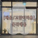 온리애옹 이미지