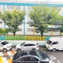 용산초등학교 앞 이미지