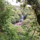 천제연폭포 이미지