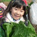 수화농장 이미지