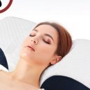 꿀잠자리 이미지