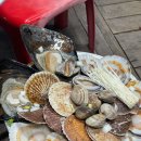 송정해변로 | 부산 야장맛집은 어디 ~~? 송정 포항조개구이 내돈내산후기