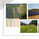 꿈의 태양광발전소 이미지