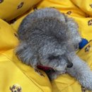 연세포레스트정신건강의학과의원 이미지