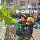풀.꽃무리어린이집