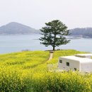 설리와카라반펜션 이미지