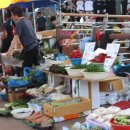 세상사는이야기 이미지