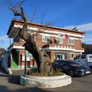 창무산성교회 이미지