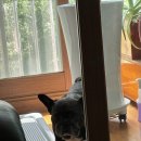 스시존 | 일산 백석 | 가성비 대박 맛집 <스시존> 가족모임 후기